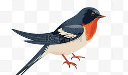 飞鸟动漫,描绘青春梦想的动漫世界